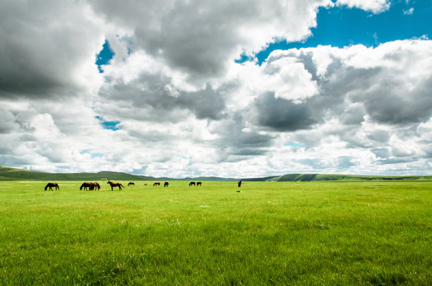 草原风光,内蒙古大草原