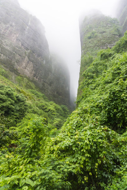 草原溪流