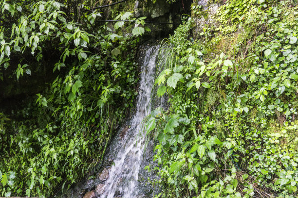 草原溪流