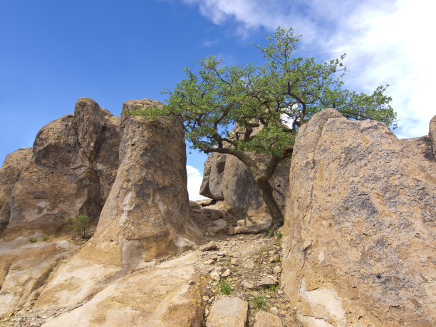 石城