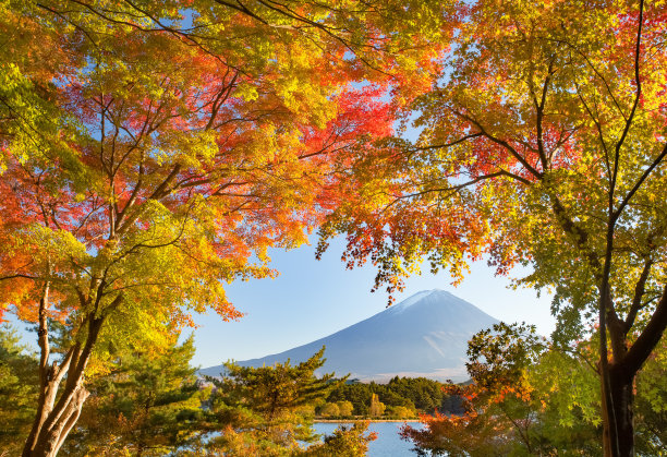 秋天的富士山