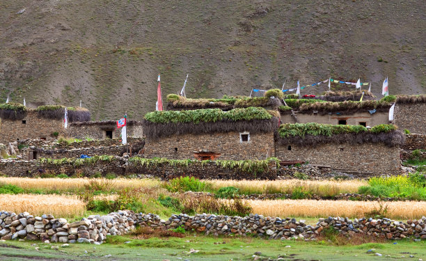 藏族农庄