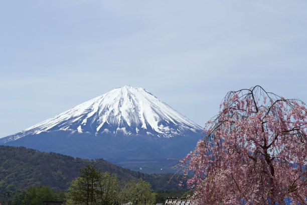 雪山和樱花风景