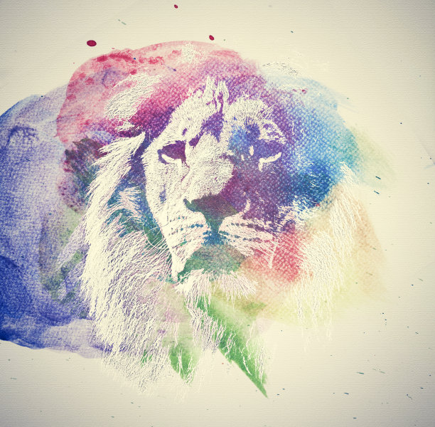 抽象狮子