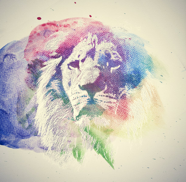 lion