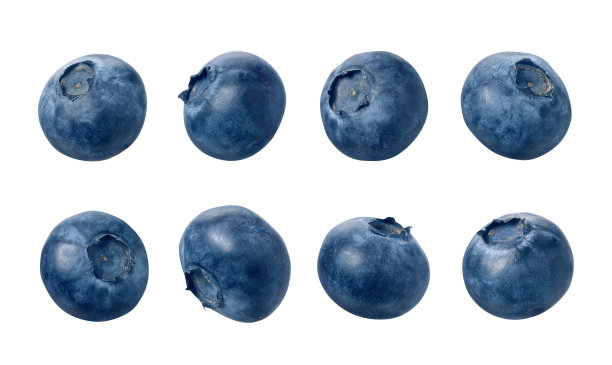 蓝莓果子