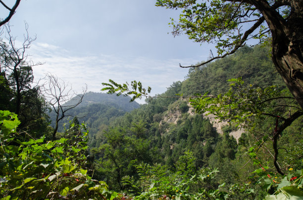 泰山