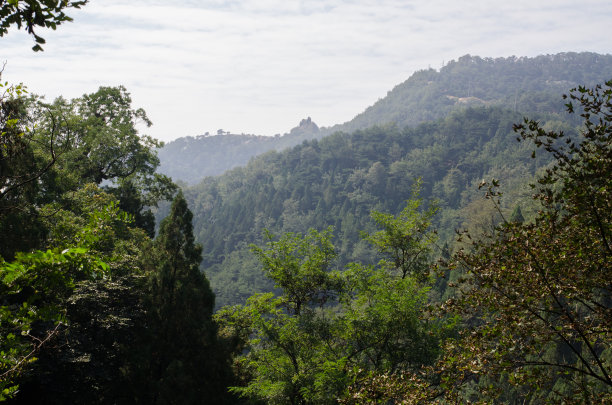 泰山群峰