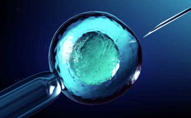 医疗科技胚胎