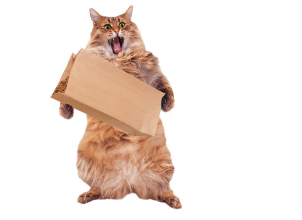猫粮 宠物 包装