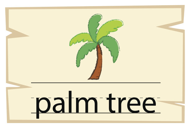椰树字母