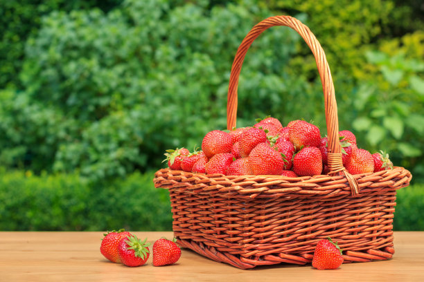 草莓浆果