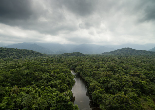 湿地航拍4k