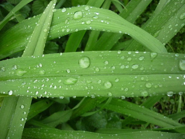 初夏的雨