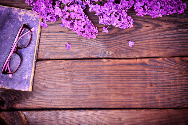 紫花团 书本封面