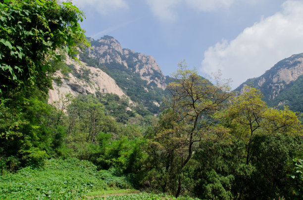 泰山山脉