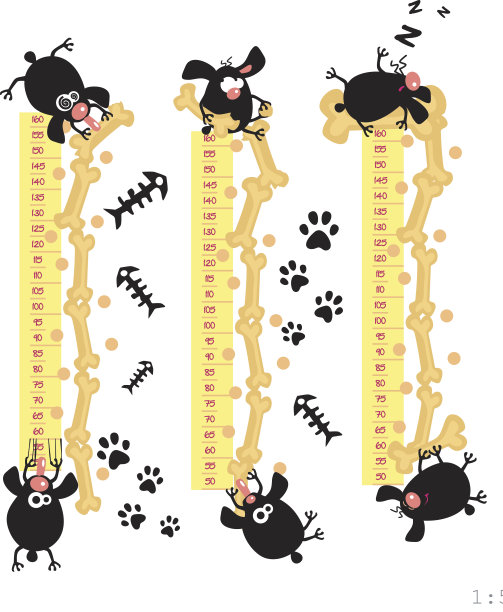 动物测量身高插画