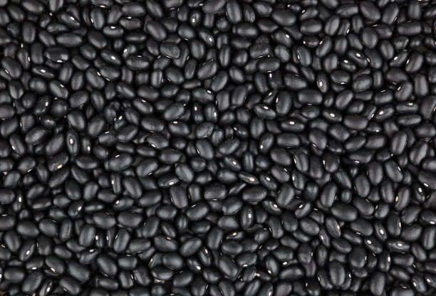黑豆素材