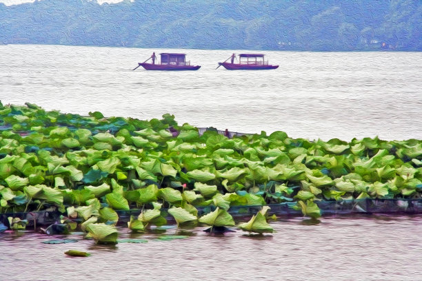 中国风西湖插画