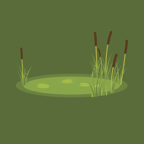 湿地草丛