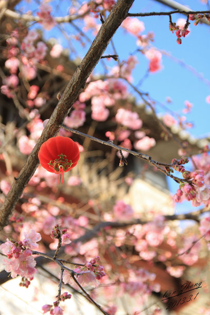 灯笼灯节上元节