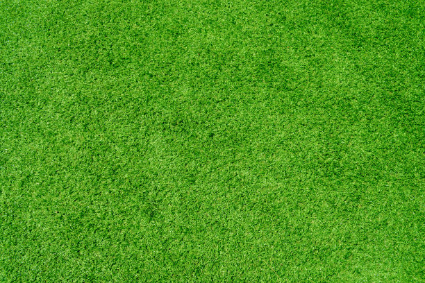 绿色草坪 
