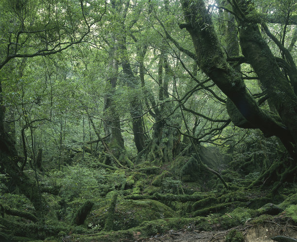 东亚历史旅游胜地