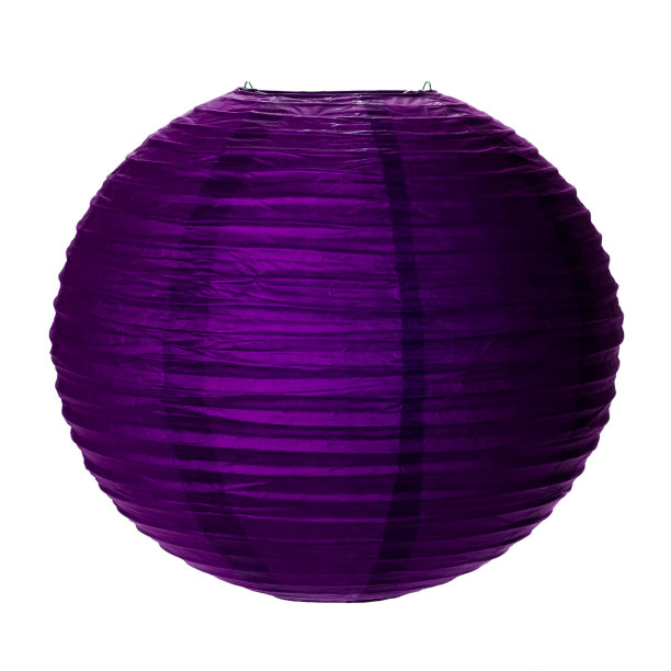 紫灯笼
