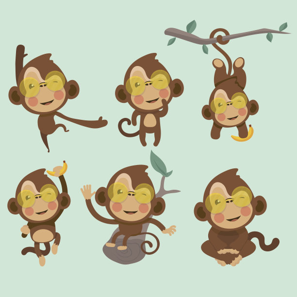 可爱猴子