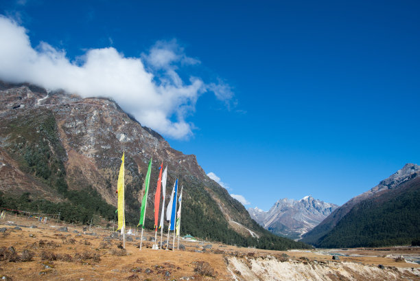 西藏蓝天下的大山与草地