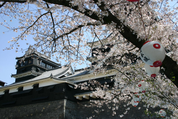 樱花熊本城