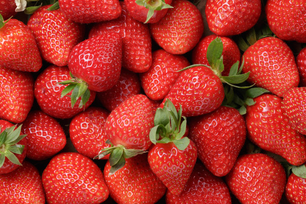  水果 草莓