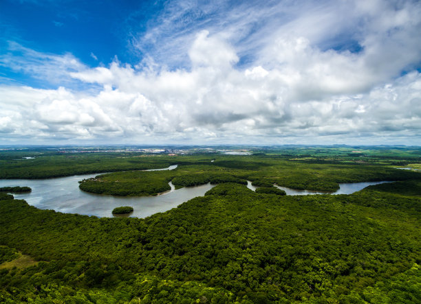 生态湿地