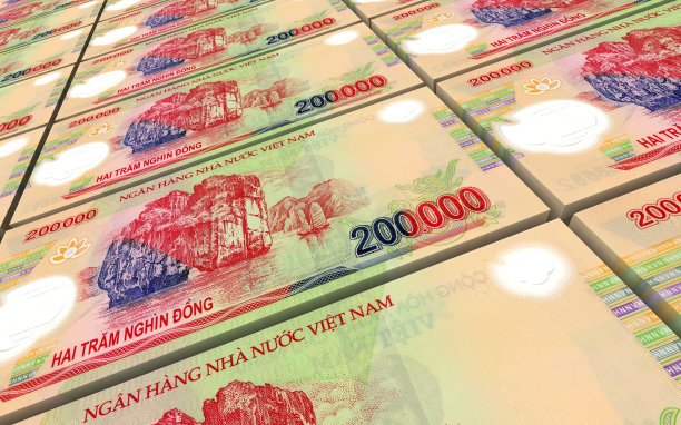 水平画幅,财务项目,越南货币