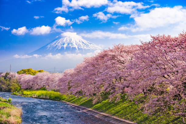 运河风景