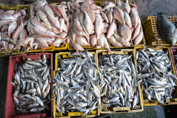 渔港海鲜市场