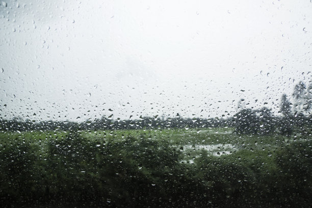 绿色小雨点