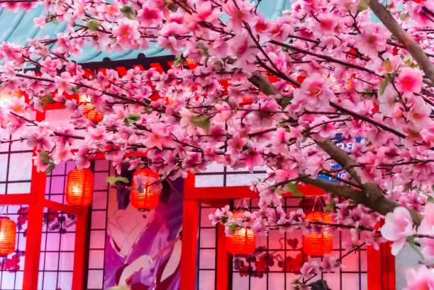 春节日本旅游