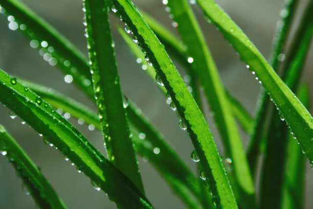 初夏的雨