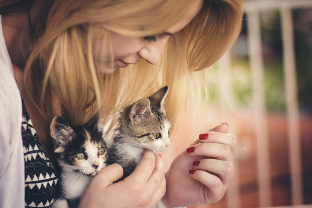 女孩抱着小猫