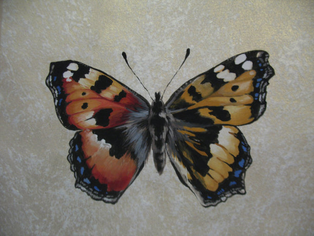 蝴蝶壁画