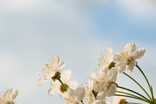 空格键