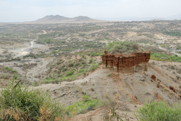 塞伦盖蒂东非大裂谷