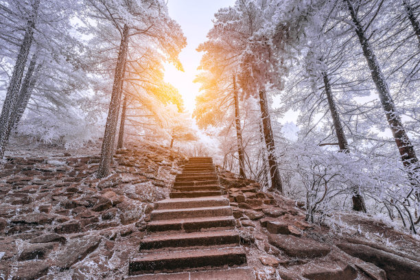 黄山冬雪