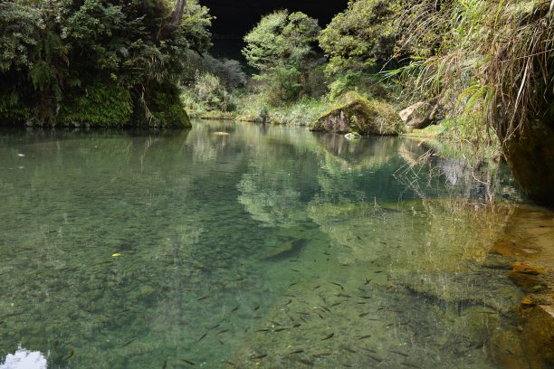 饮用水水源河道