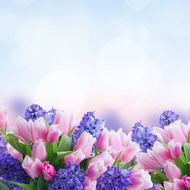 蓝紫色的花