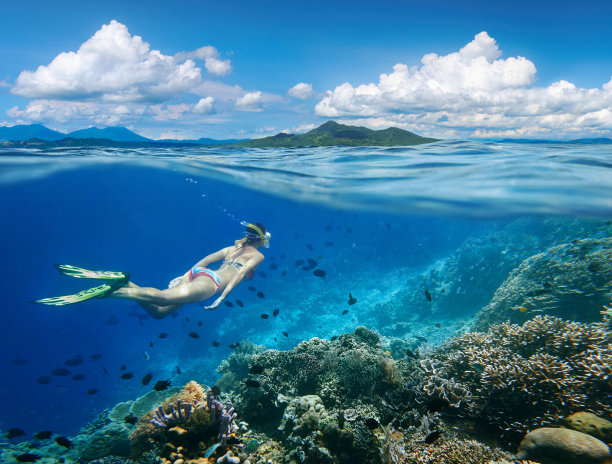 海洋生物 海底鱼类 海水