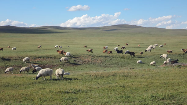 内蒙古高原