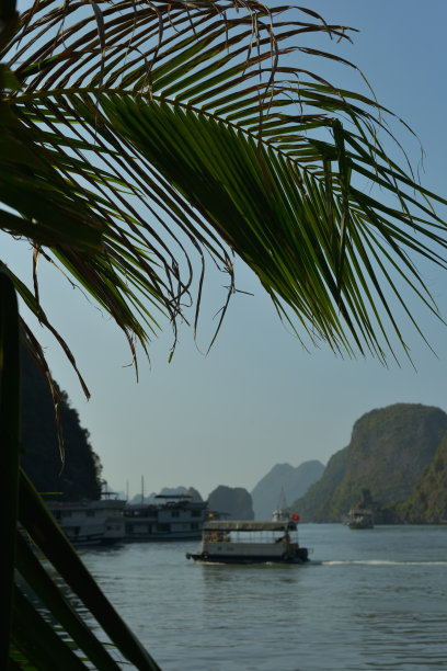 越南下龙湾渔船