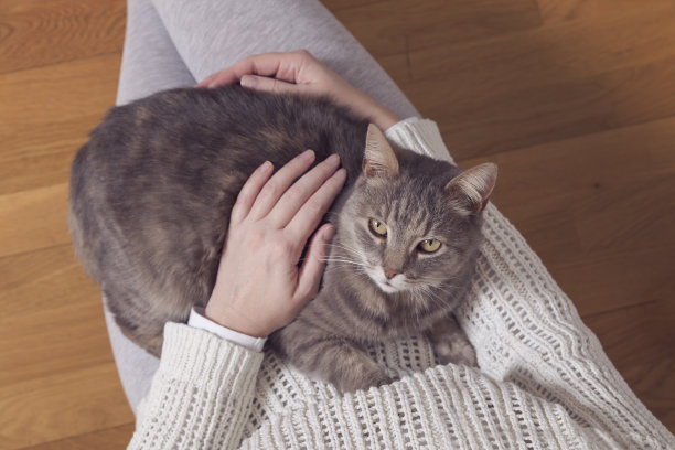 女孩抱着小猫